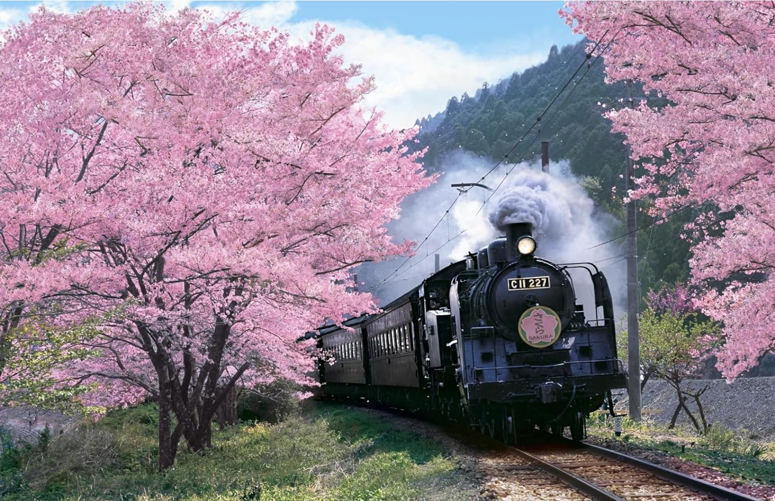Amazon | クロスステッチ刺繍キット，桜の森、電車 11CT40x50cm ，Diy